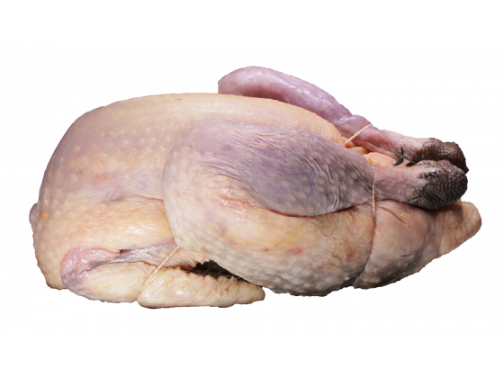 Perlhuhn