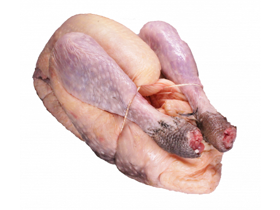 Perlhuhn4_freigestellt_verkleinert