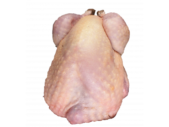Perlhuhn3_freigestellt_verkleinert